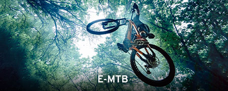 Haibike
