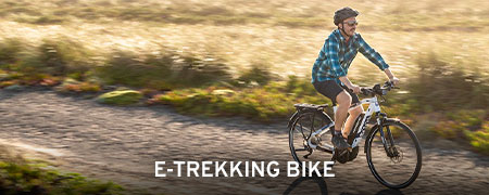 Haibike