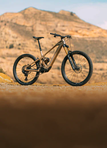 Bicicletas eléctricas de montaña