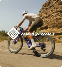 BMC